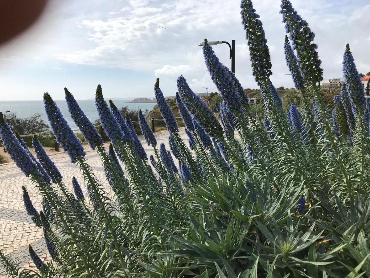 Sol Mar Lägenhet Portimão Exteriör bild